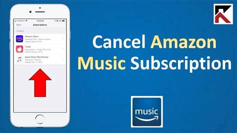 How Do You Cancel Amazon Music? And the Various Aspects to Consider